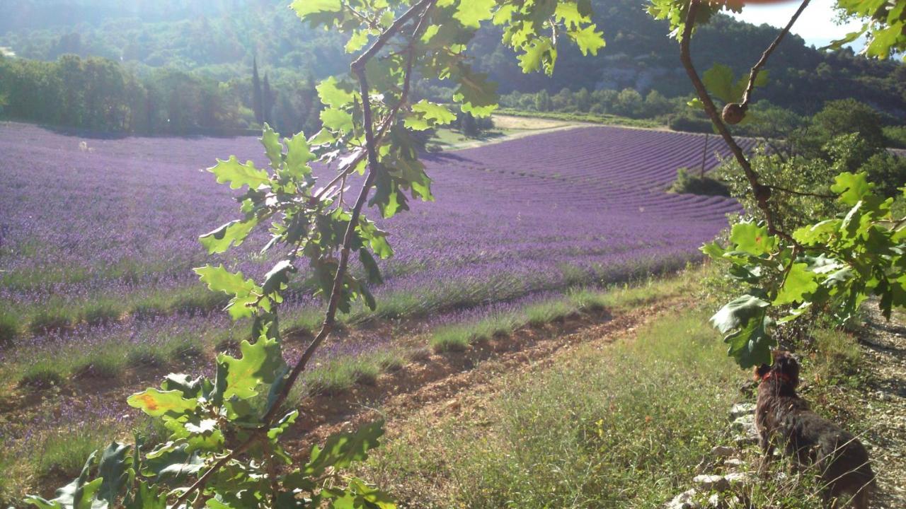 Les Vallons Holiday Home Lioux Kültér fotó