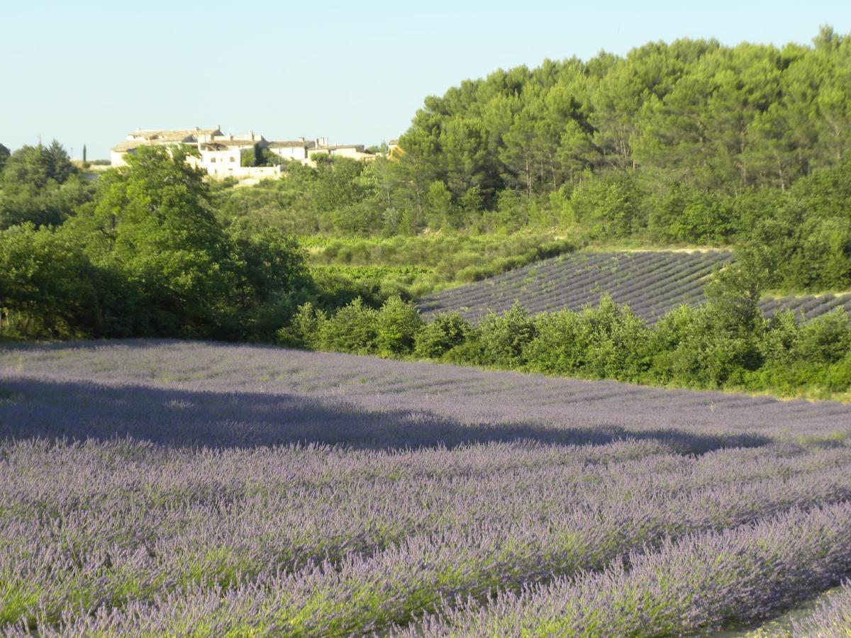 Les Vallons Holiday Home Lioux Kültér fotó